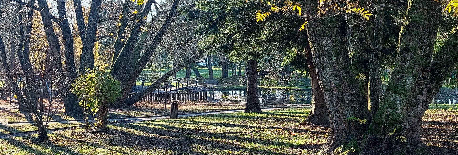 Kindlerjev park