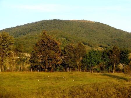 Kršičevec 