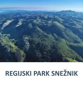 Foto: Tomaž Mihelič