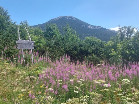 Dragoceno dediščino Snežnika skupaj povežimo v park