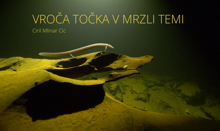 Pogovor o potapljaških dogodivščinah v morju pa tudi v podzemlju