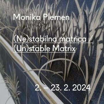 Monika Plemen: (Ne)stabilna matrica