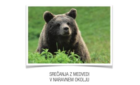 Srečanja z medvedi v naravnem okolju