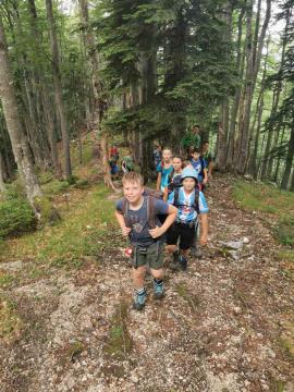 IMG-cd72c398fcdebc5f92f07935b38d4df6-V