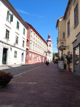 20260918_115559-Irena